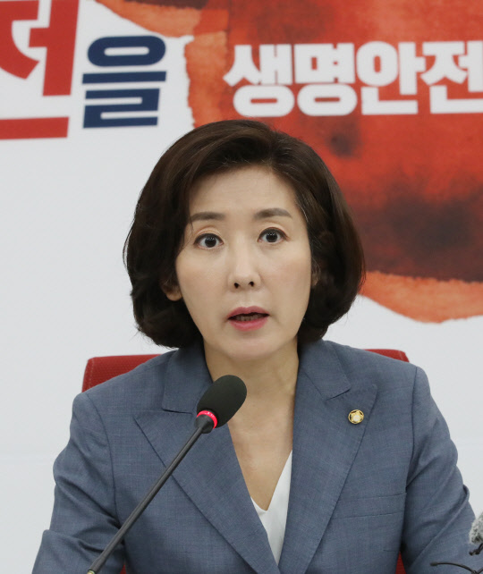 나경원 한국당 원내대표가 24일 국회에서 열린 원내대표-중진의원 연석회의에서 발언하고 있다. 연합뉴스